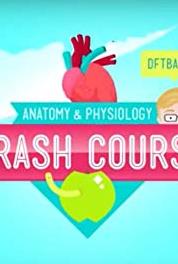 Crash Course: Anatomy & Physiology Digestive System Part 3: Intestines & Accessory Organs (2015– ) Online