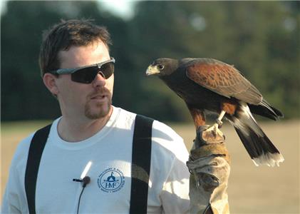 Falconry (2010) Online