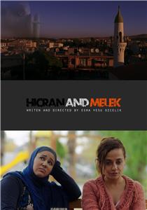 Hicran and Melek (2016) Online