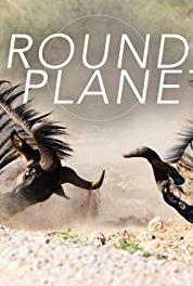 Round Planet Bears (2016) Online