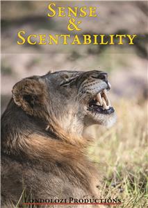 Sense & Scentability (1998) Online