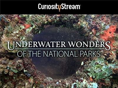 Underwater Wonders of the National Parks  Online