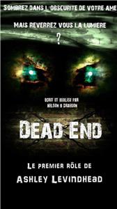Dark Pit: Dead End (2011) Online