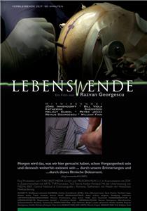 Lebens(w)ende (2008) Online