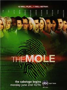 The Mole  Online