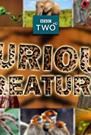 Curious Creatures Episode #1.4 (2017– ) Online