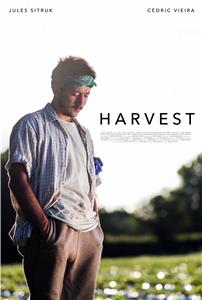 Harvest (2018) Online