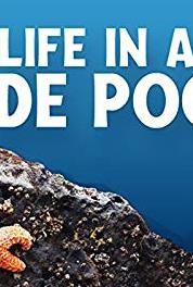 Life in a Tide Pool Sea Anemones (2015– ) Online