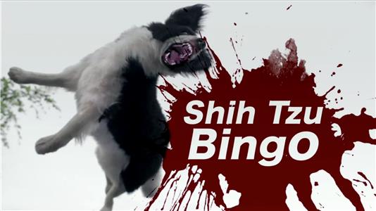 Shih Tzu Bingo (2013) Online