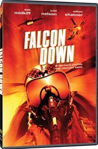 Falcon Down (2001) Online