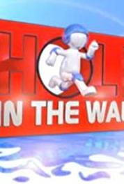 Hole in the Wall Episode #1.4 (2008–2009) Online