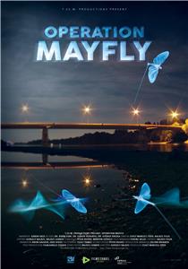 Operation Mayfly (2017) Online