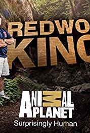 Redwood Kings Trash to Treasure (2013– ) Online