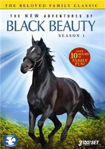 The New Adventures of Black Beauty Ride a Black Horse (1990– ) Online