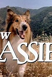 The New Lassie The Amazing Lassie (1989–1992) Online