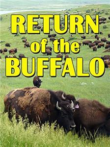 The Return of the Buffalo: Restoring the Great American Prairie (2008) Online
