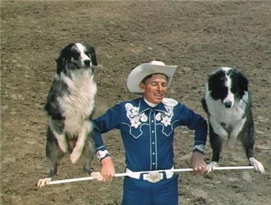 Cow Dog (1956) Online