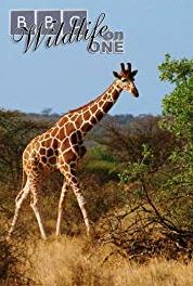 Wildlife on One Giraffe: The Impossible Animal (1977–2005) Online