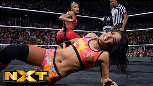 WWE NXT WWE NXT TakeOver: Chicago 2 Aftermath (2010– ) Online