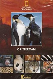 Crittercam Lions (2003– ) Online