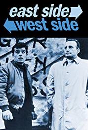 East Side/West Side The Sinner (1963–1964) Online
