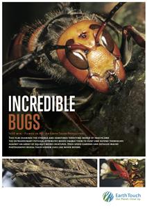 Incredible Bugs (2015) Online