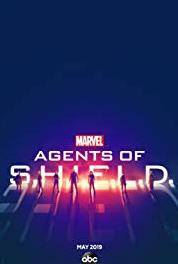 Marvel's Agents of S.H.I.E.L.D. Episode #6.10 (2013– ) Online