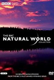 Natural World Fire and Ice: An Icelandic Saga (1983– ) Online