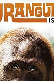 Orangutan Island Episode dated 3 November 2008 (2007– ) Online
