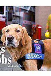 Dogs with Jobs Zelda, Azili & Amy (2000–2009) Online