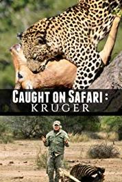 Kruger Safari Singita Lion Mega Pride (2009) Online