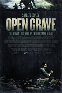 Открытая могила (2013) Online