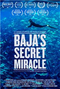 Baja's Secret Miracle (2014) Online
