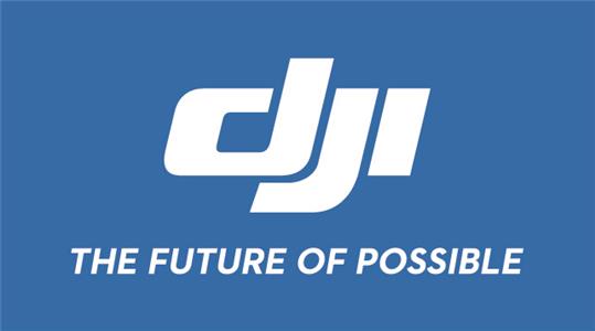 DJI Crystal Sky Monitor (2017) Online