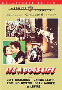 It's a Dog's Life (1955) Online