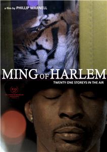 Ming of Harlem: Twenty One Storeys in the Air (2014) Online