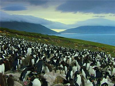 Wilde Inseln Falkland Islands: Penguin Paradise (2012– ) Online