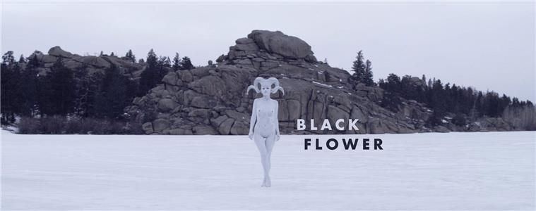 Black Flower  Online