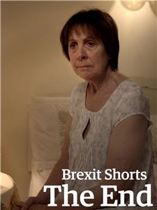 Brexit Shorts: The End (2017) Online