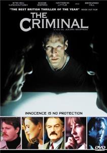 The Criminal - Wen die Schuld trifft (1999) Online