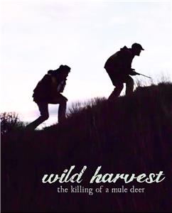 Wild Harvest (2014) Online