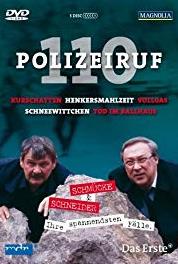 Polizeiruf 110 Ein todsicherer Plan (1971– ) Online