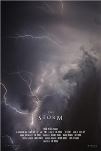 The Storm  Online