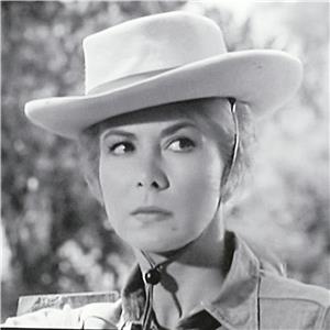 Cheyenne Winchester Quarantine (1955–1963) Online