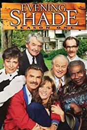 Daddy schafft uns alle The Really Odd Couple (1990–1994) Online