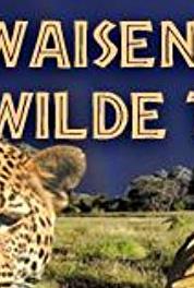 Das Waisenhaus für wilde Tiere Episode #2.27 (2011– ) Online