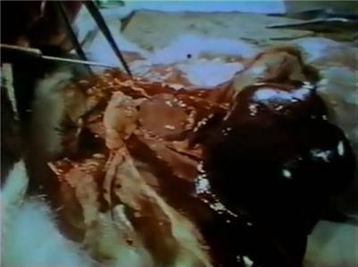 The Body in Question Heart of the Matter (1978– ) Online