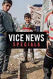 Vice News Ukraine Rising: Part 2 (2013– ) Online