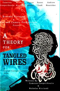 A Theory for Tangled Wires (2016) Online