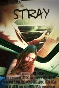 Stray (2008) Online